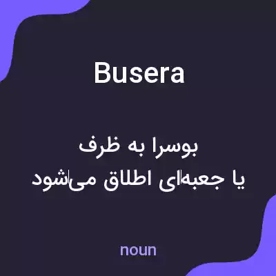 معنی busera به فارسی معنی busera به فارسی