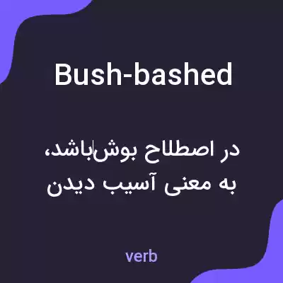 معنی bush-bashed به فارسی معنی bush-bashed به فارسی