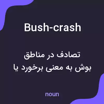 معنی bush-crash به فارسی معنی bush-crash به فارسی
