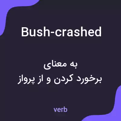 معنی bush-crashed به فارسی معنی bush-crashed به فارسی