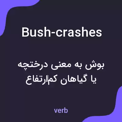 معنی bush-crashes به فارسی معنی bush-crashes به فارسی