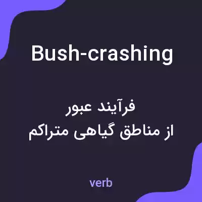 معنی bush-crashing به فارسی معنی bush-crashing به فارسی