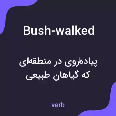 معنی bush-walked به فارسی معنی bush-walked به فارسی