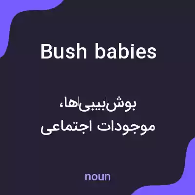 معنی bushbabies به فارسی
