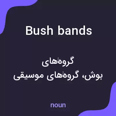 معنی bush bands به فارسی معنی bush bands به فارسی