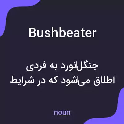 معنی bushbeater به فارسی معنی bushbeater به فارسی