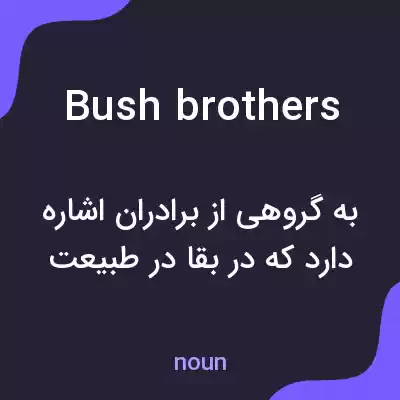 معنی bush brothers به فارسی معنی bush brothers به فارسی