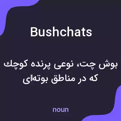 معنی bushchats به فارسی معنی bushchats به فارسی
