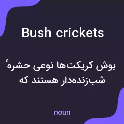 معنی bush crickets به فارسی معنی bush crickets به فارسی