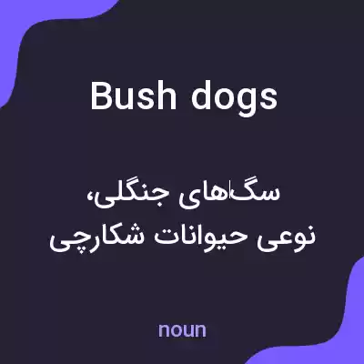 معنی bush dogs به فارسی معنی bush dogs به فارسی