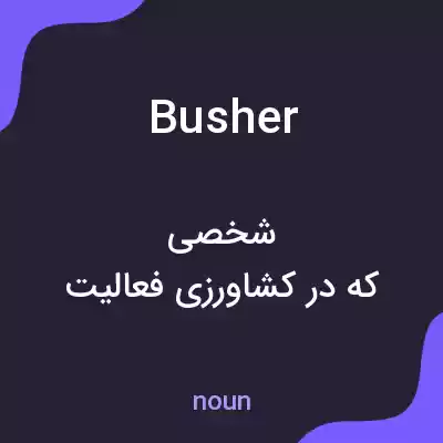 معنی busher به فارسی معنی busher به فارسی