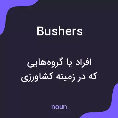 معنی bushers به فارسی معنی bushers به فارسی