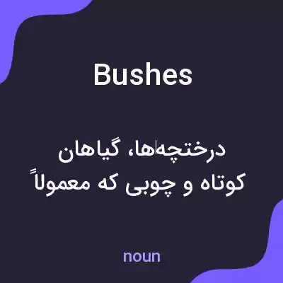 معنی bushes به فارسی معنی bushes به فارسی