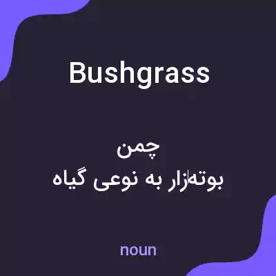 معنی bushgrass به فارسی معنی bushgrass به فارسی