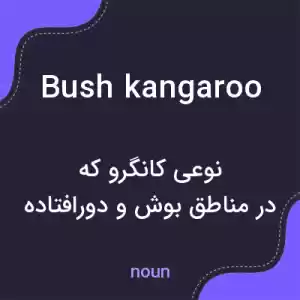 معنی bush kangaroo به فارسی