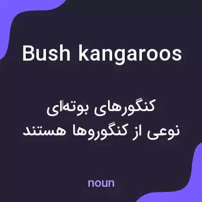 معنی bush kangaroos به فارسی معنی bush kangaroos به فارسی