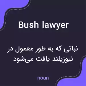 معنی bush lawyer به فارسی