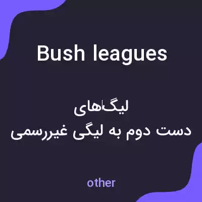 معنی bush leagues به فارسی معنی bush leagues به فارسی