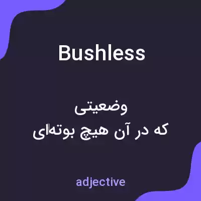 معنی bushless به فارسی معنی bushless به فارسی