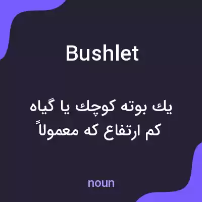 معنی bushlet به فارسی معنی bushlet به فارسی
