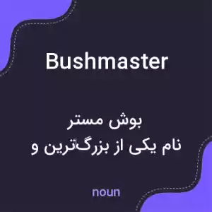 معنی bushmaster به فارسی