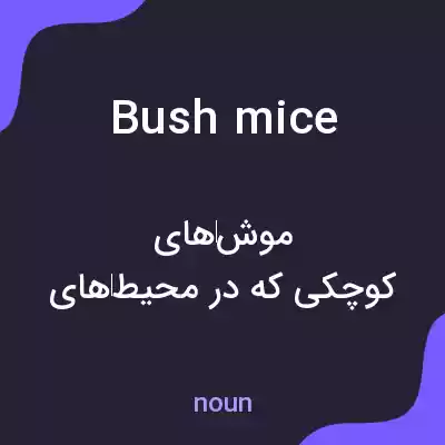 معنی bush mice به فارسی معنی bush mice به فارسی