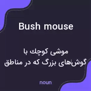 معنی bush mouse به فارسی معنی bush mouse به فارسی