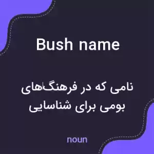 معنی bush name به فارسی معنی bush name به فارسی