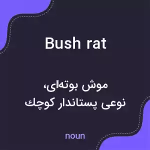 معنی bush rat به فارسی معنی bush rat به فارسی