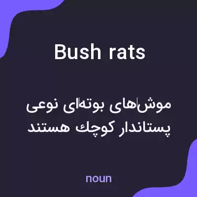 معنی bush rats به فارسی معنی bush rats به فارسی