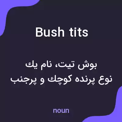 معنی bush tits به فارسی معنی bush tits به فارسی