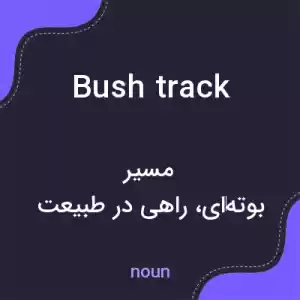 معنی bush track به فارسی