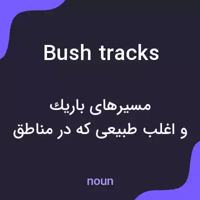 معنی bush tracks به فارسی معنی bush tracks به فارسی