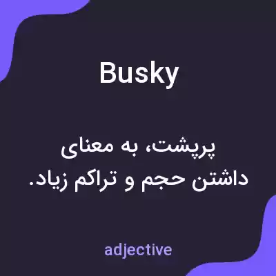 معنی busky به فارسی معنی busky به فارسی
