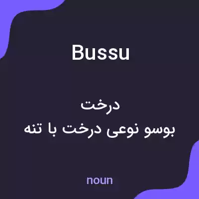 معنی bussu به فارسی معنی bussu به فارسی