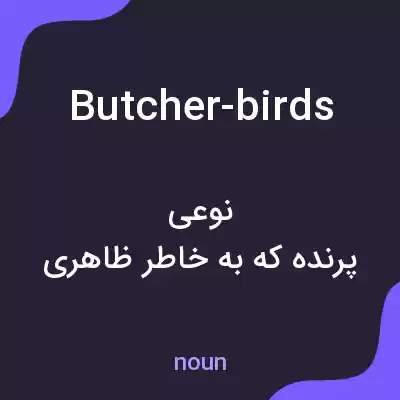 معنی butcher-birds به فارسی