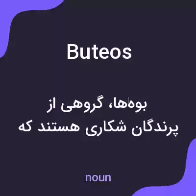 معنی buteos به فارسی معنی buteos به فارسی