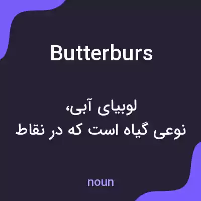 معنی butterburs به فارسی معنی butterburs به فارسی
