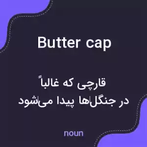 معنی butter cap به فارسی معنی butter cap به فارسی