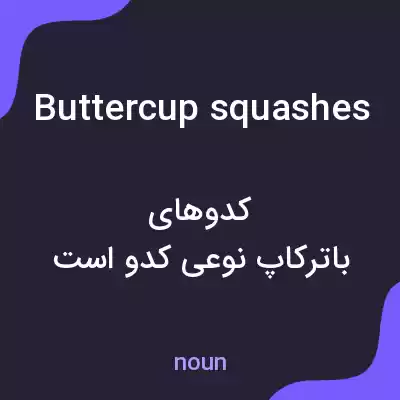 معنی buttercup squashes به فارسی معنی buttercup squashes به فارسی