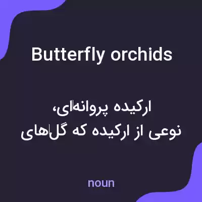 معنی butterfly orchids به فارسی معنی butterfly orchids به فارسی