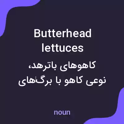 معنی butterhead lettuces به فارسی معنی butterhead lettuces به فارسی