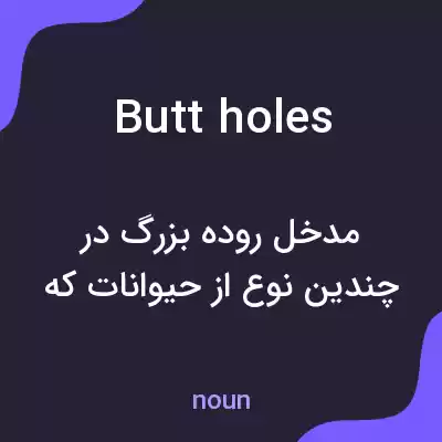 معنی butt holes به فارسی معنی butt holes به فارسی