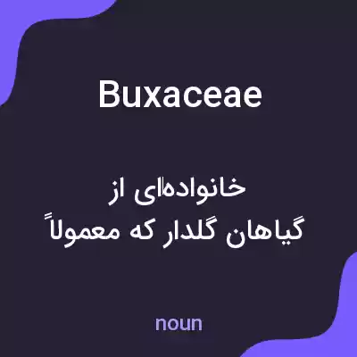 معنی buxaceae به فارسی