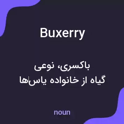 معنی buxerry به فارسی معنی buxerry به فارسی
