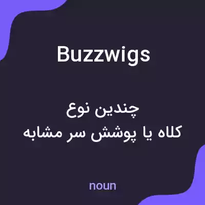 معنی buzzwigs به فارسی معنی buzzwigs به فارسی