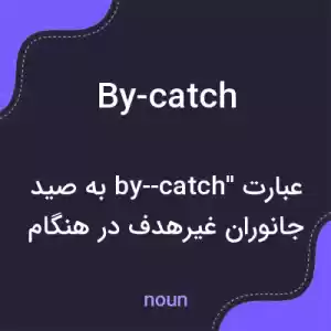 معنی by-catch به فارسی