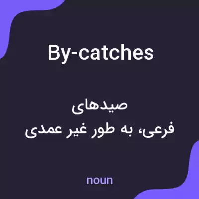 معنی by-catches به فارسی