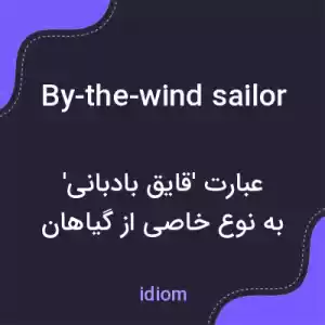 معنی by-the-wind sailor به فارسی معنی by-the-wind sailor به فارسی