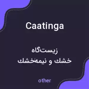 معنی caatinga به فارسی معنی caatinga به فارسی